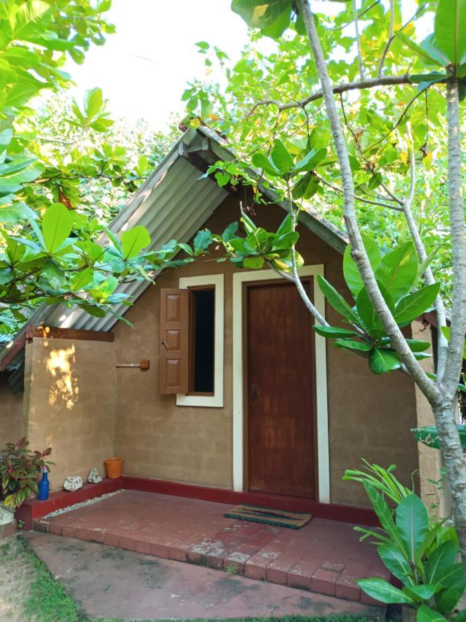 By The C' Cabanas Hikkaduwa Exterior foto