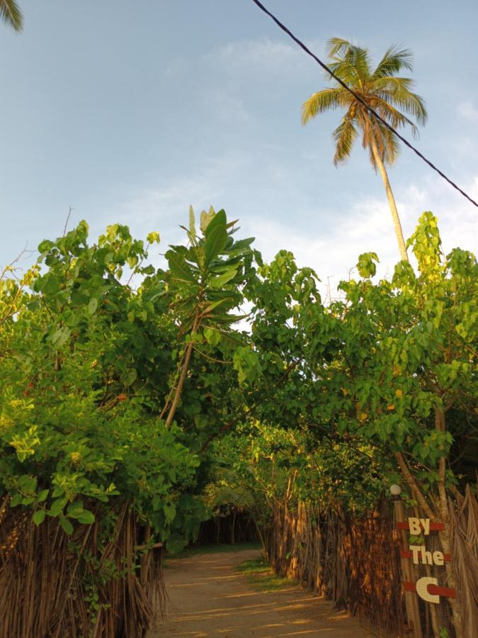 By The C' Cabanas Hikkaduwa Exterior foto