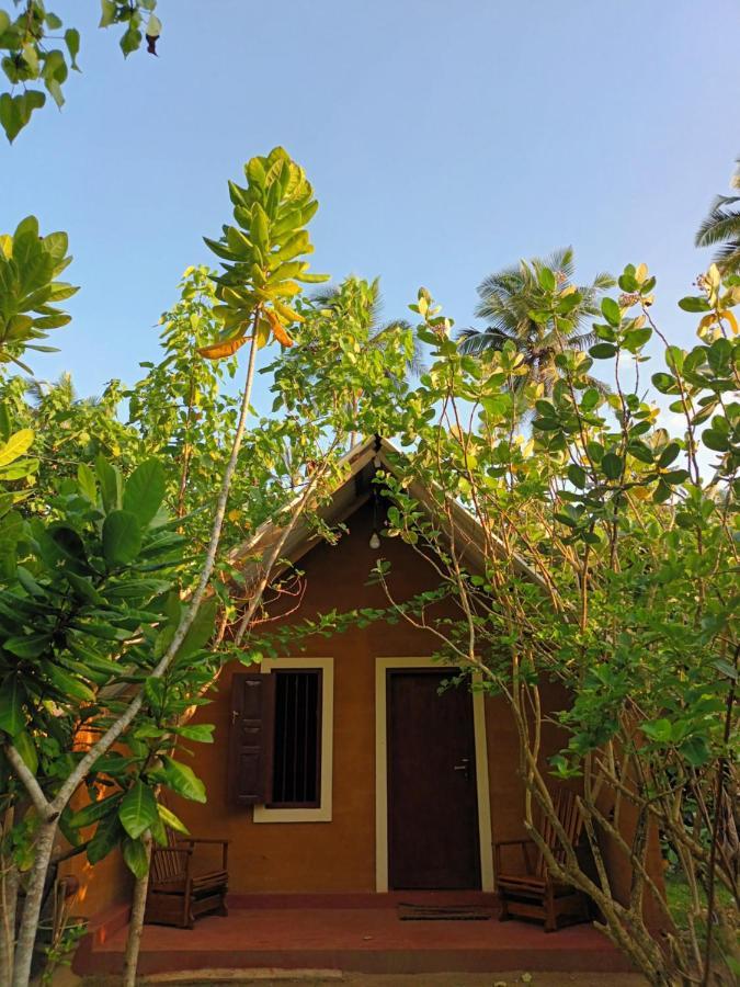 By The C' Cabanas Hikkaduwa Exterior foto
