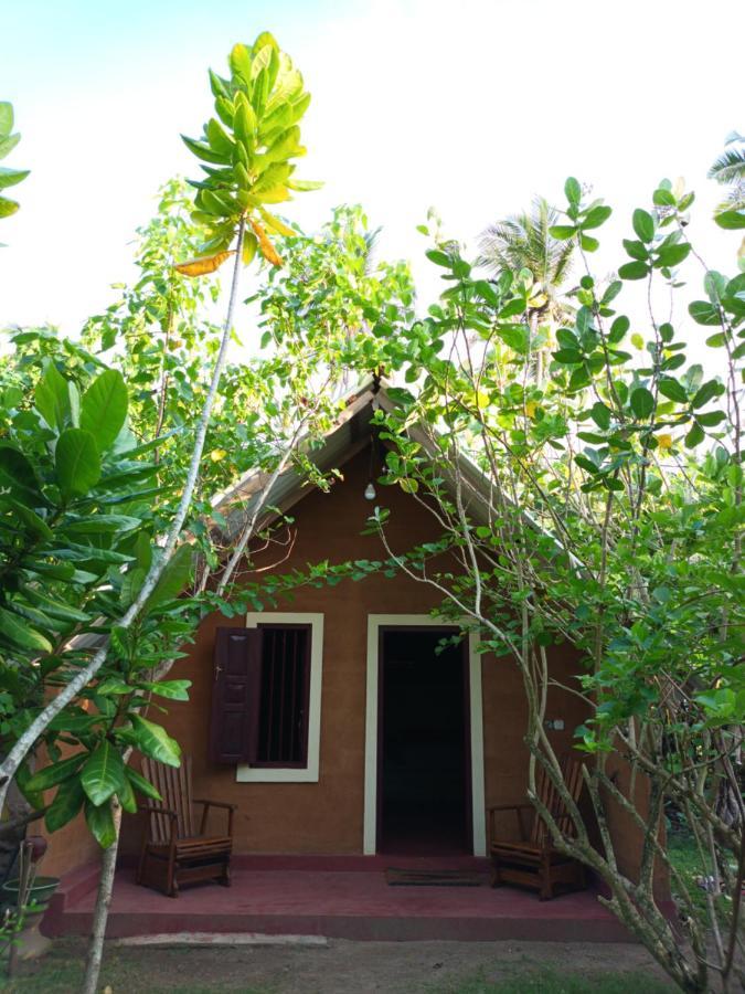 By The C' Cabanas Hikkaduwa Exterior foto