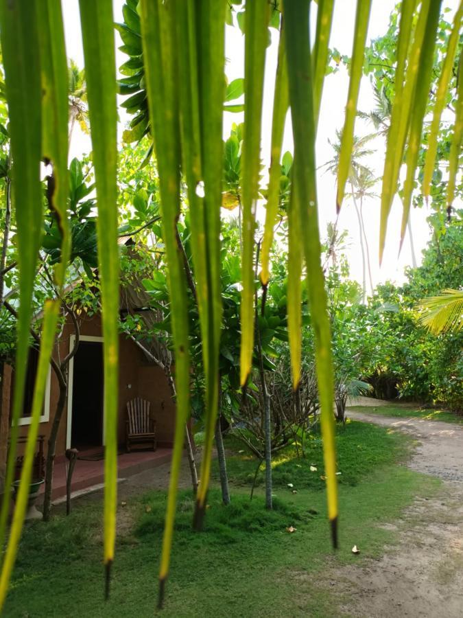 By The C' Cabanas Hikkaduwa Exterior foto