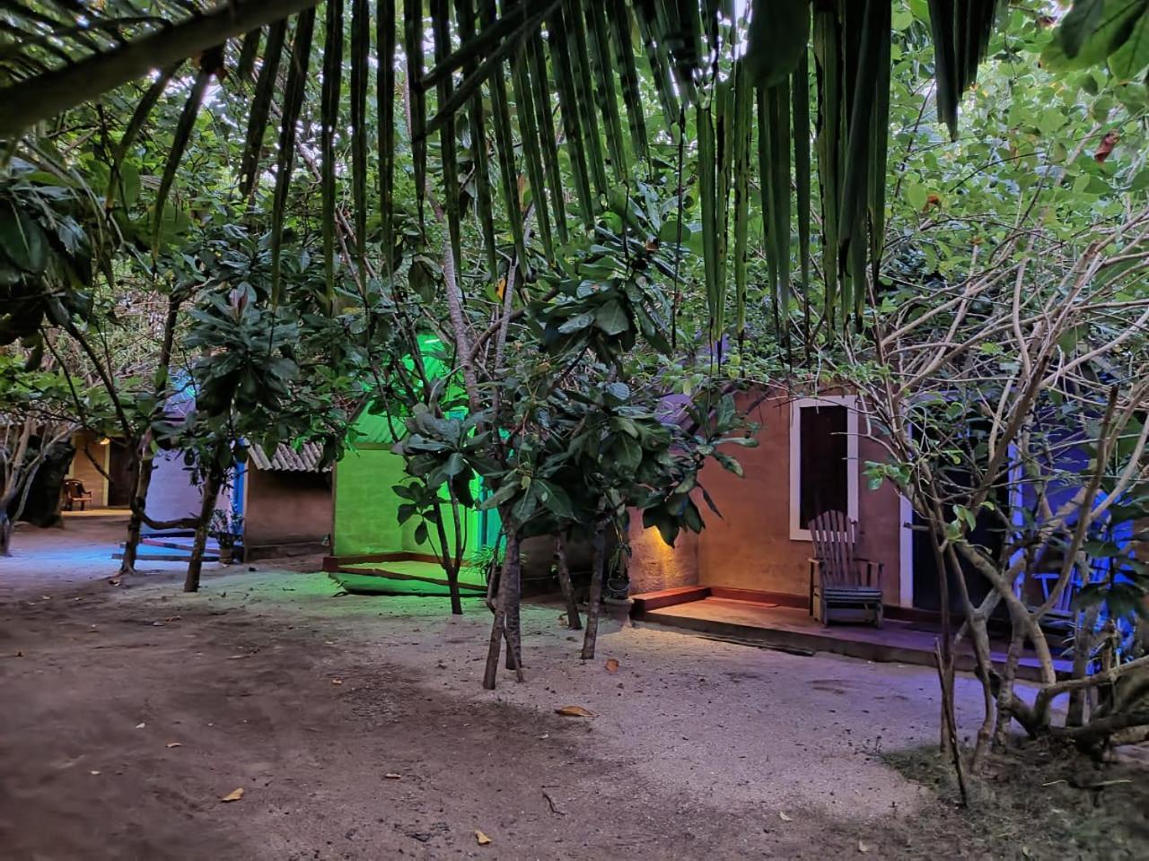 By The C' Cabanas Hikkaduwa Exterior foto