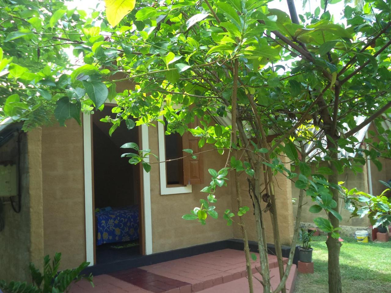By The C' Cabanas Hikkaduwa Exterior foto